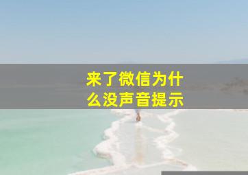 来了微信为什么没声音提示