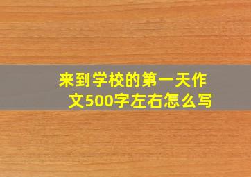 来到学校的第一天作文500字左右怎么写