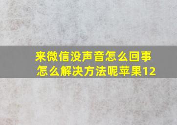 来微信没声音怎么回事怎么解决方法呢苹果12