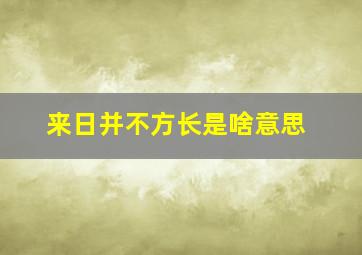 来日并不方长是啥意思