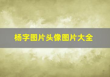 杨字图片头像图片大全