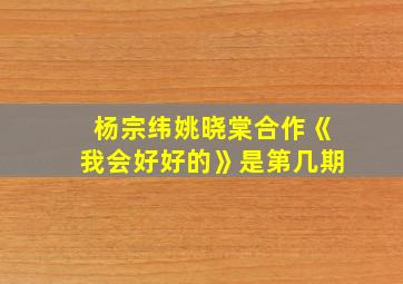 杨宗纬姚晓棠合作《我会好好的》是第几期