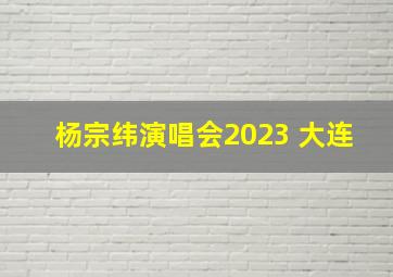 杨宗纬演唱会2023 大连