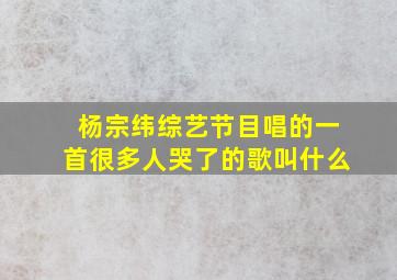 杨宗纬综艺节目唱的一首很多人哭了的歌叫什么