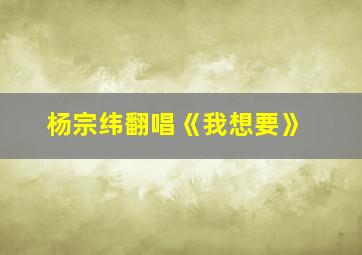 杨宗纬翻唱《我想要》