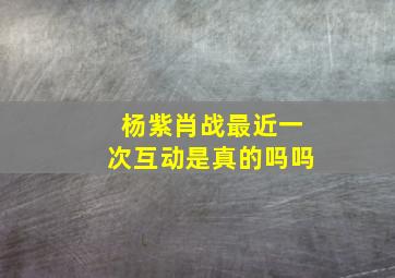 杨紫肖战最近一次互动是真的吗吗