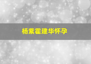 杨紫霍建华怀孕