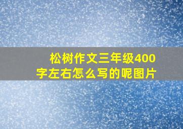 松树作文三年级400字左右怎么写的呢图片