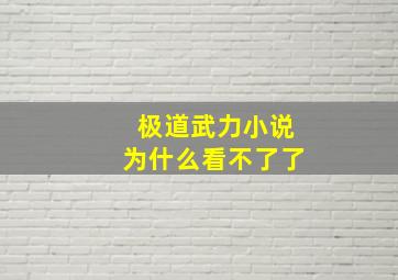 极道武力小说为什么看不了了