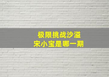 极限挑战沙溢宋小宝是哪一期