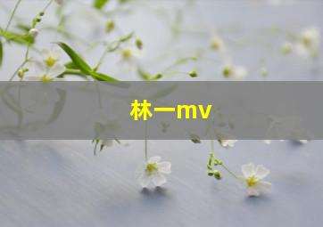 林一mv