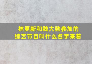 林更新和魏大勋参加的综艺节目叫什么名字来着