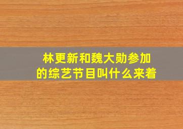 林更新和魏大勋参加的综艺节目叫什么来着