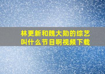 林更新和魏大勋的综艺叫什么节目啊视频下载