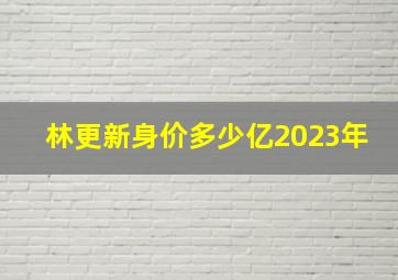 林更新身价多少亿2023年