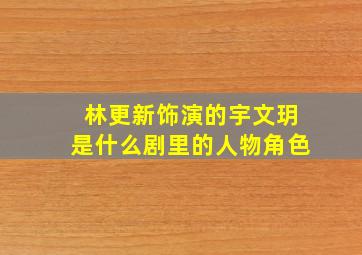 林更新饰演的宇文玥是什么剧里的人物角色