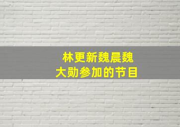 林更新魏晨魏大勋参加的节目