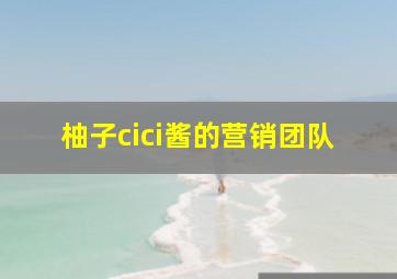 柚子cici酱的营销团队