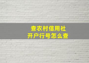 查农村信用社开户行号怎么查