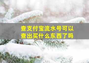 查支付宝流水号可以查出买什么东西了吗