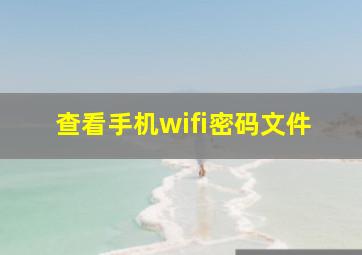 查看手机wifi密码文件