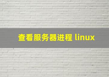 查看服务器进程 linux