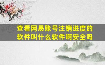 查看网易账号注销进度的软件叫什么软件啊安全吗