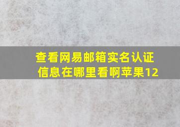 查看网易邮箱实名认证信息在哪里看啊苹果12