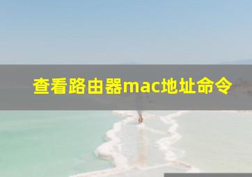 查看路由器mac地址命令