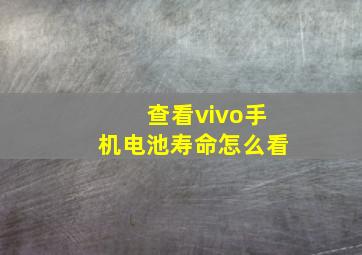 查看vivo手机电池寿命怎么看