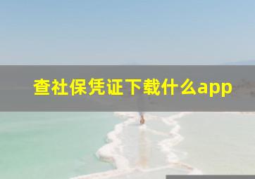 查社保凭证下载什么app