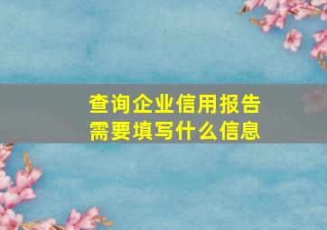 查询企业信用报告需要填写什么信息