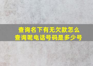 查询名下有无欠款怎么查询呢电话号码是多少号