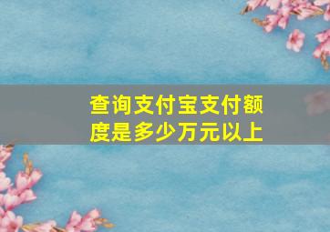 查询支付宝支付额度是多少万元以上