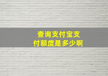 查询支付宝支付额度是多少啊