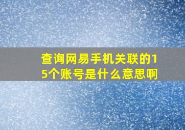 查询网易手机关联的15个账号是什么意思啊