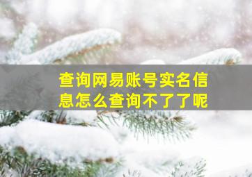 查询网易账号实名信息怎么查询不了了呢