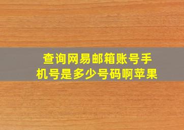 查询网易邮箱账号手机号是多少号码啊苹果