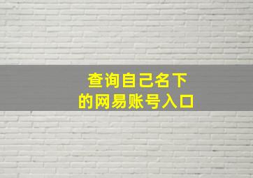 查询自己名下的网易账号入口