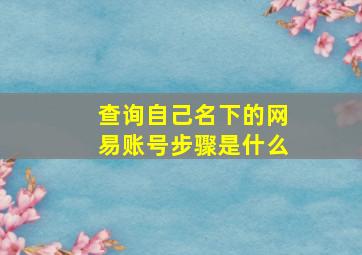 查询自己名下的网易账号步骤是什么