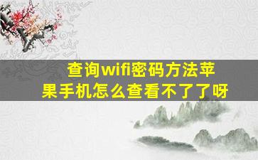 查询wifi密码方法苹果手机怎么查看不了了呀