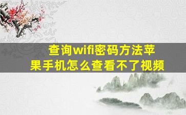 查询wifi密码方法苹果手机怎么查看不了视频