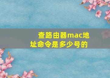 查路由器mac地址命令是多少号的