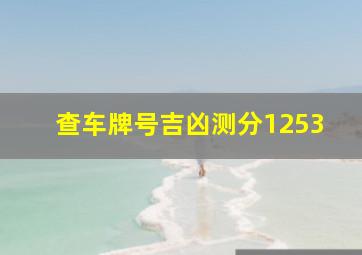 查车牌号吉凶测分1253