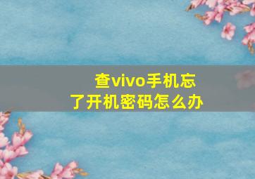 查vivo手机忘了开机密码怎么办