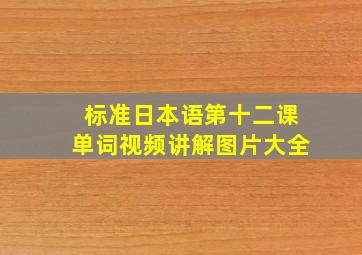 标准日本语第十二课单词视频讲解图片大全