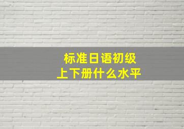 标准日语初级上下册什么水平