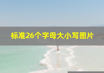 标准26个字母大小写图片