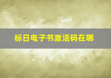 标日电子书激活码在哪