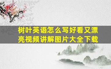 树叶英语怎么写好看又漂亮视频讲解图片大全下载